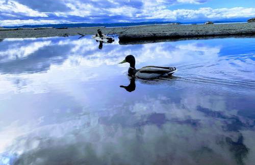 Luxury Retreat near beaches, 12 miles to Seattle - Foto 46