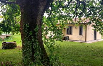 Agriturismo Podere Bianca Maria - Foto 30