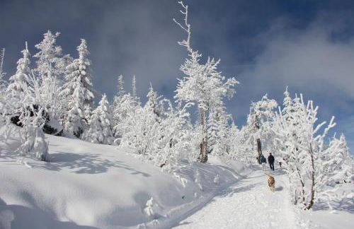Haus Margarete & Landhaus Karin - Foto 17