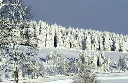 Ferienwohnung-Am-Schloessel-fuer-2-4-Personen-in-Oberwiesenthal - Foto 14
