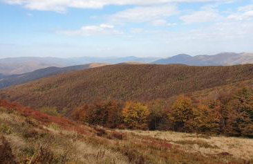 Noclegi u Kiesza - Foto 24