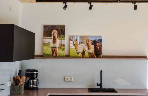 Chalet Seebauer - Foto 6