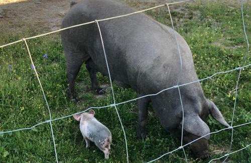 Casa rural La Tahona del abuelo TR CC 00344 - Foto 17