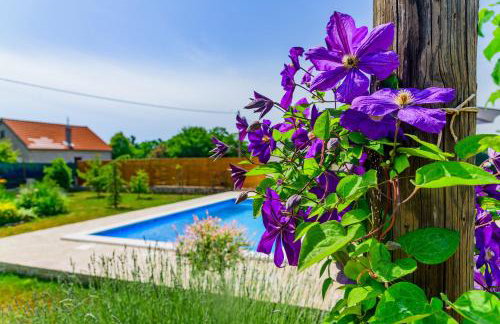 Sunny house - Foto 61