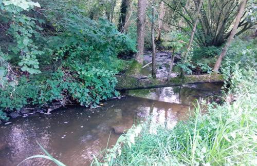 L'Orchidée - Photo 13