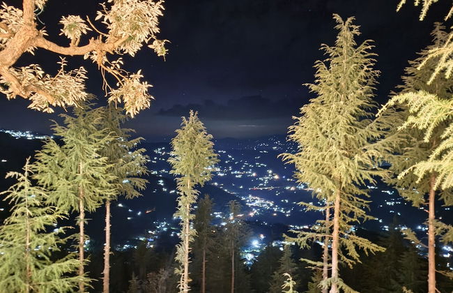 Eva Cabins - Photo 13