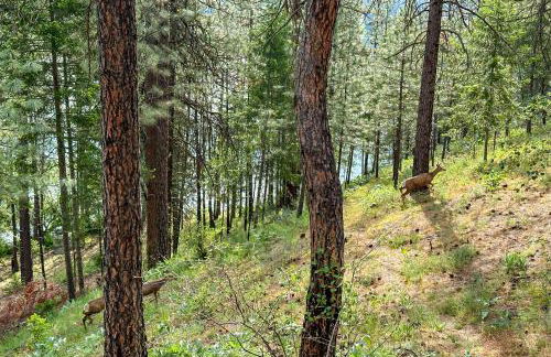 Private Lake Access and Dock Home Near Spokane - Foto 53