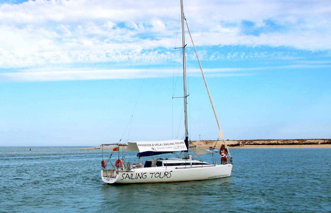 Observation de dauphins à Fuseta - Photo 7