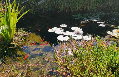 Tuscan Villa exclusive use of private pool A/C Wifi Villa Briciola - Photo 35