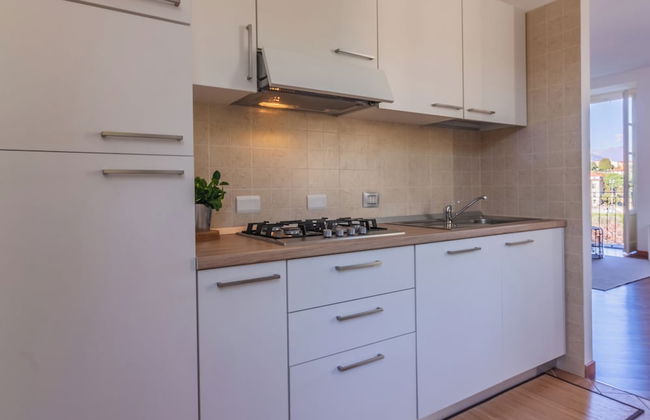 Green Rose by Wonderful Italy - Foto 7