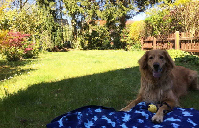 Beachkeeper Comfortable Holiday Residence - Foto 16