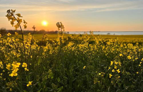 Tohuus Op'n Dörp - Foto 29