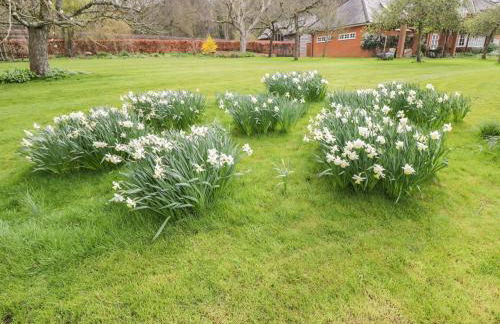 Avon Turn View - Foto 33