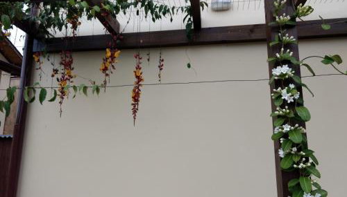 Studios Formanabá - Foto 2, Garden