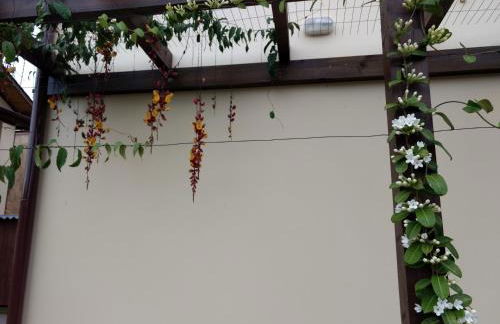 Studios Formanabá - Foto 2