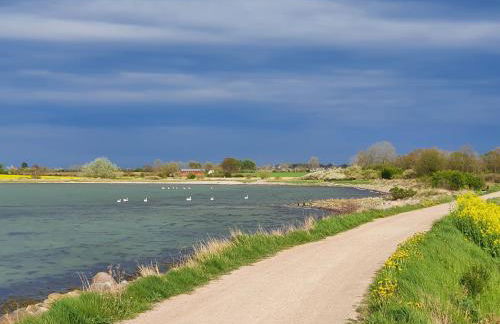 Ferienwohnung Hafenblick Ferienhof Geltinger Bucht - Foto 31