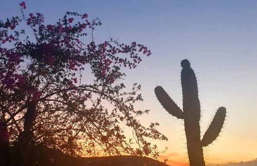 Flat Recanto Monte Castelo - Gravatá - Foto 39