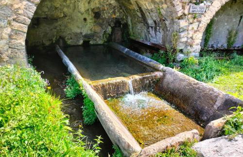 Les quatre marmottes - Photo 20