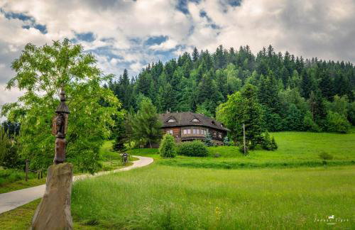 Lipowe Wzgórze Limanowa - Foto 84