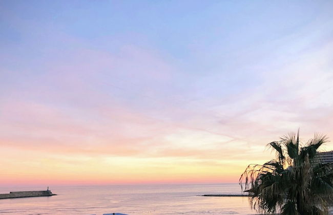 Estudios Peñiscola - Foto 21