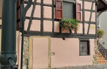 Idéal séjour Alsace ! proche Colmar et sur la route des Vins, Gîte de la Liberté - Foto 13