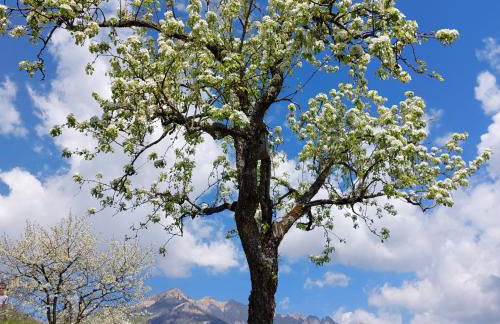 La casa di Maia - Alloggio Agrituristico - Foto 58