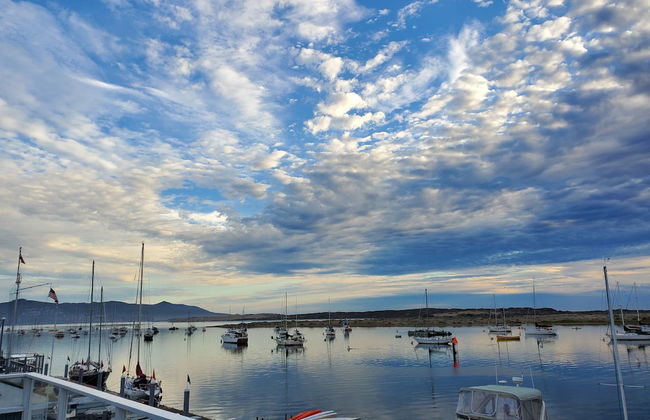 Gray's Inn & Gallery - Foto 23