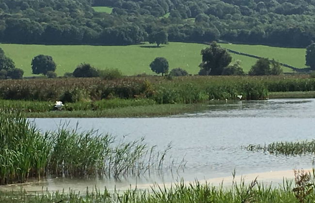 1 Lathom Avenue - Foto 62