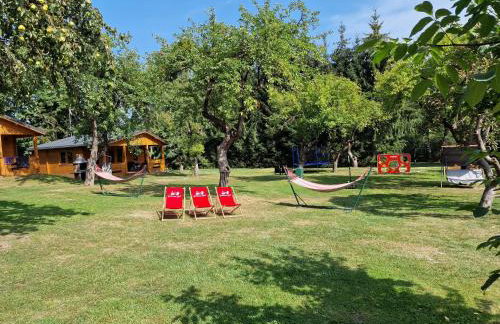 Domki w sadzie - Gościniec LECH - Foto 32