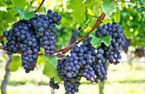 Pompei Duplex Apartment Deluxe - Photo 34