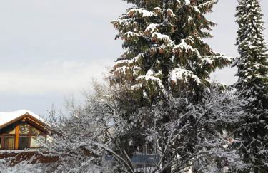 Seefelder Berge und Seen Appartements - Foto 29