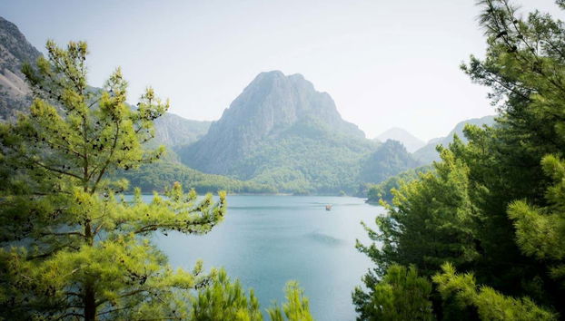 Green Lake Tour + Boat Ride - Foto 3