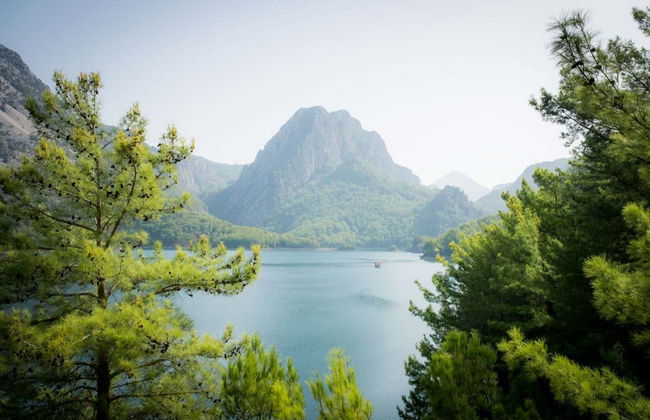 Green Lake Tour + Boat Ride - Photo 3