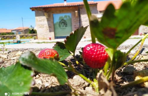 Casa D'Augusta - Agroturismo - Foto 36