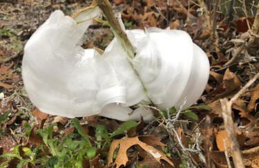 Perfect Country-Side Get-Away - Photo 43