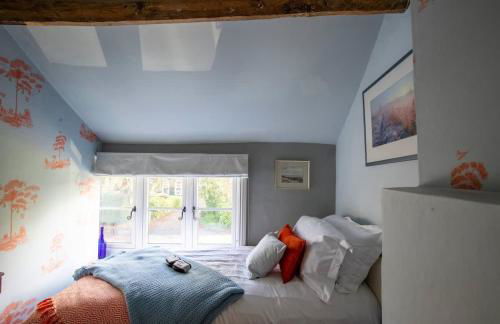 The Blue Snug - Foto 1