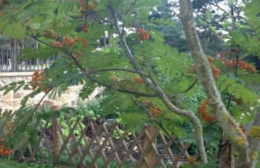 Los Ranchales Vinuesa - Foto 32