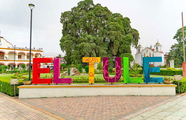 Excursion to Teotitlán del Valle, Mitla & Mezcal Distillery - Photo 7