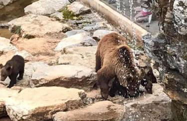 Gîtes des Deux Vallées La Borieta du Causse - Rocamadour - Foto 47