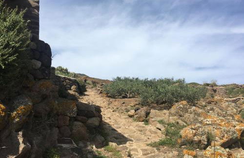 Dammusi IL SERRALH -Pantelleria- - Foto 46