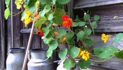 Ruegen Fewo 40 - Foto 4