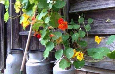 Ruegen Fewo 40 - Foto 4