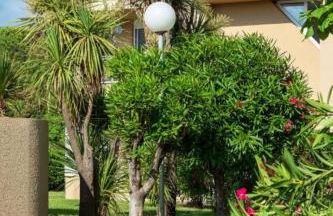 Résidence Marina Bianca - Foto 14