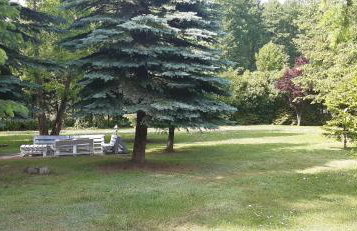 Dom Wakacyjny Myśliborka - Foto 6