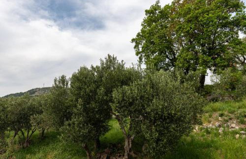 Luxury Apartments Blue Moon - New Apartments - Foto 13