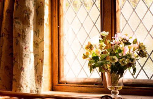 The Old Monkey, a quirky bolthole on the edge of a historic Market Town - Foto 15