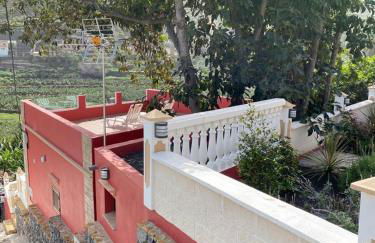 Banana House - Foto 23