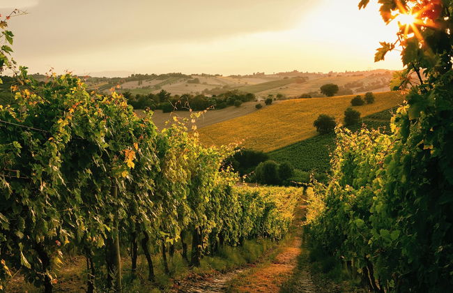 Sanders Arsorama Arsos - Foto 51