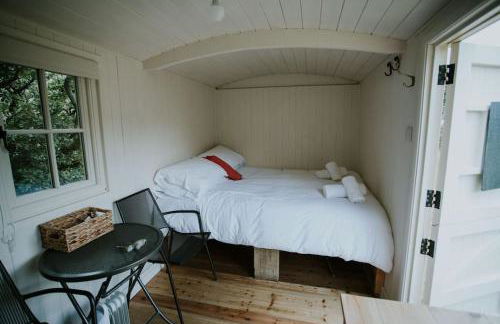 Snowdonia Shepherds Hut + Hot Tub - Foto 14