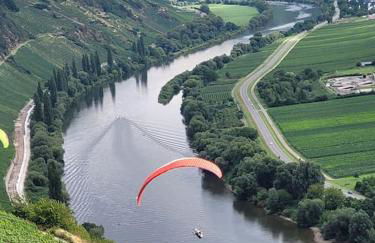 Willi's Moselschlösschen - Foto 23